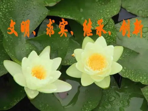 按诊