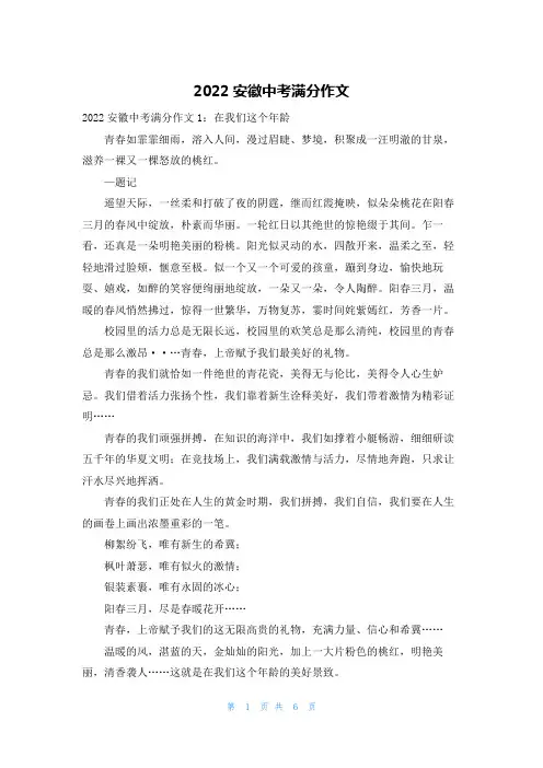 2022安徽中考满分作文
