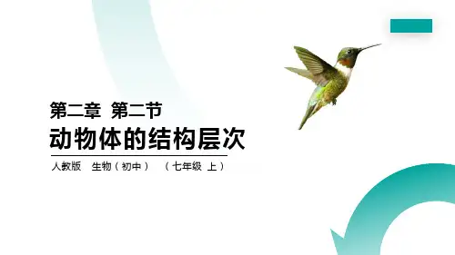 《动物体的结构层次》PPT精品课件