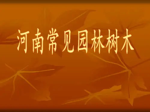 河南省常见园林树木