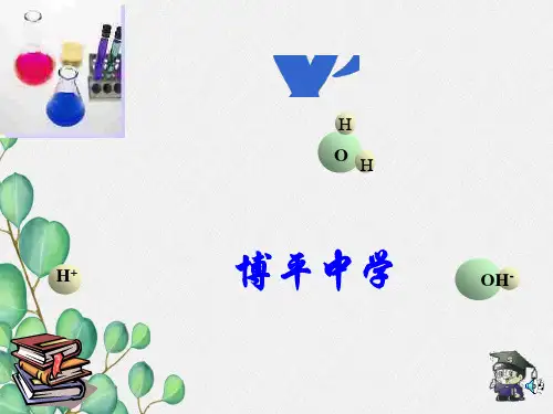 《常见的酸和碱》PPT课件 (公开课专用)2022年沪教版 (1)