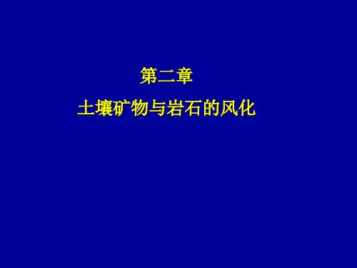 第二章 土壤的矿物组成