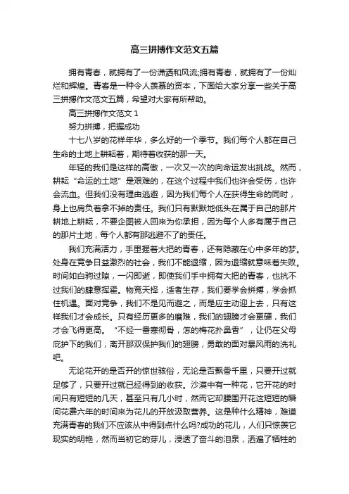 高三拼搏作文范文五篇