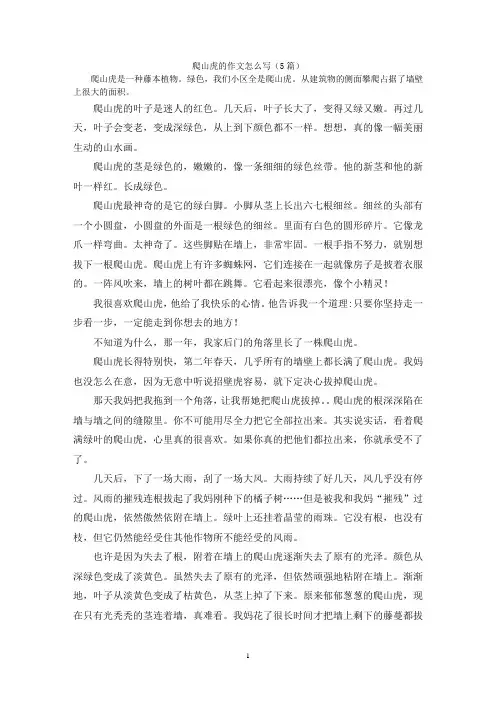 爬山虎的作文怎么写(5篇)