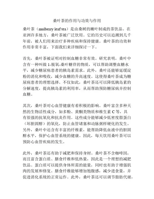 桑叶茶的作用与功效与作用