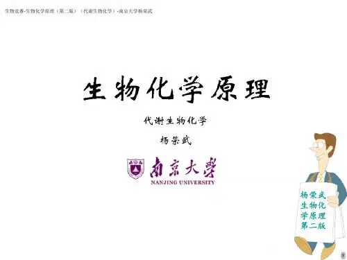 生物竞赛讲义-生物化学-20生物氧化-《生物化学原理(第二版)(代谢生物化学)》