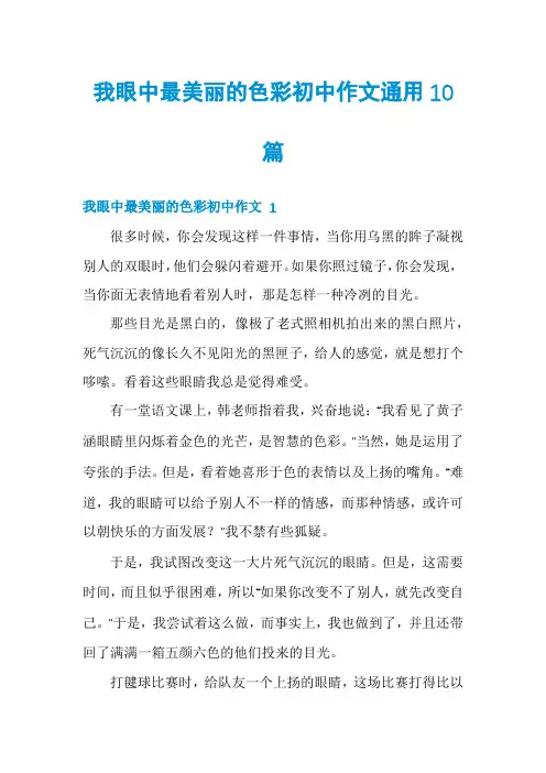 我眼中最美丽的色彩初中作文通用10篇