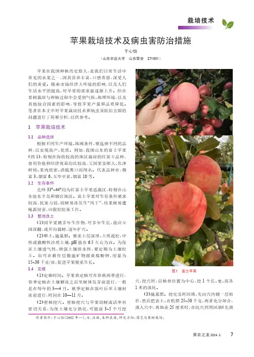 苹果栽培技术及病虫害防治措施