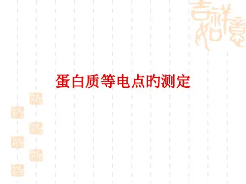 蛋白质等电点的测定