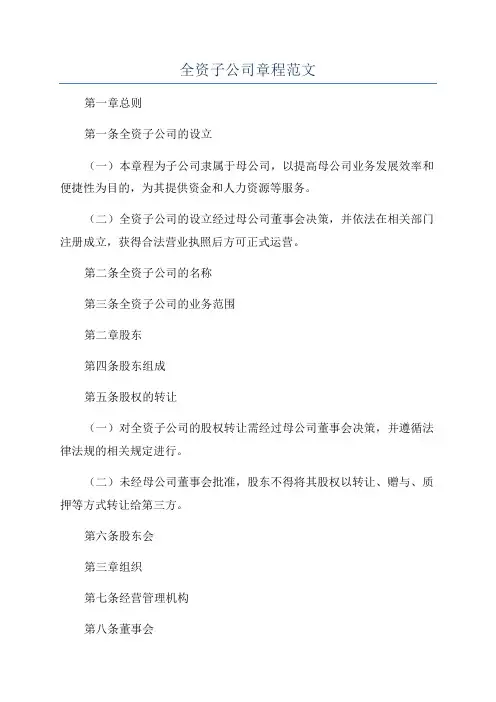 全资子公司章程范文