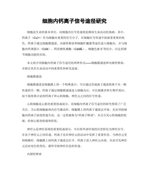 细胞内钙离子信号途径研究