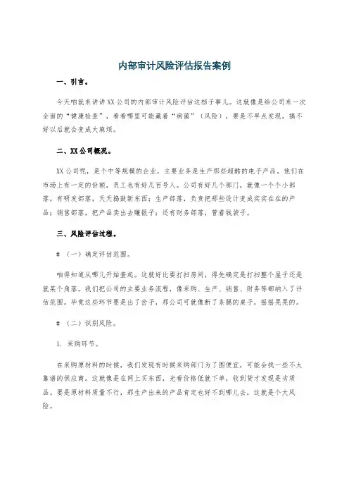 内部审计风险评估报告案例