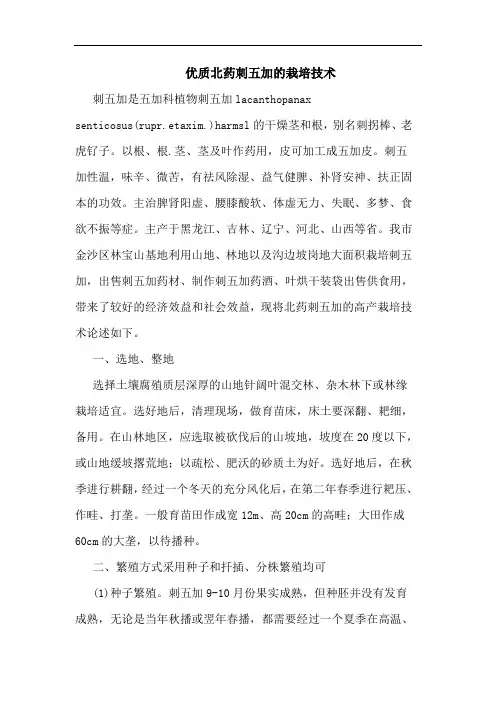 优质北药刺五加的栽培技术