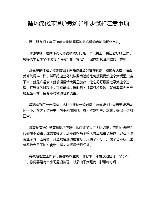 循环流化床锅炉煮炉详细步骤和注意事项