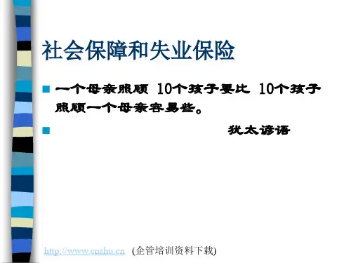 社会保障和失业保险的定义(ppt 84页)