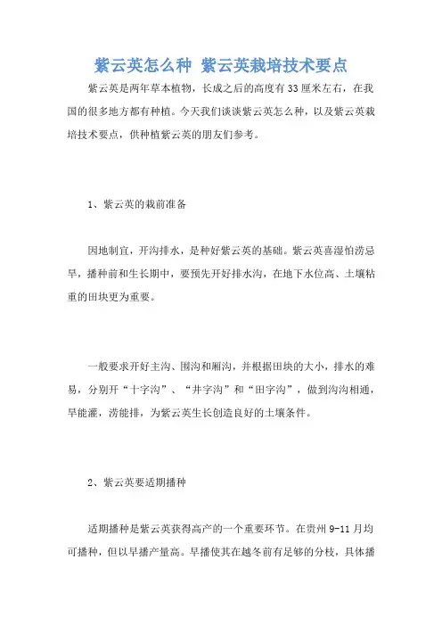 紫云英怎么种 紫云英栽培技术要点