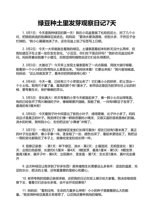 绿豆种土里发芽观察日记7天