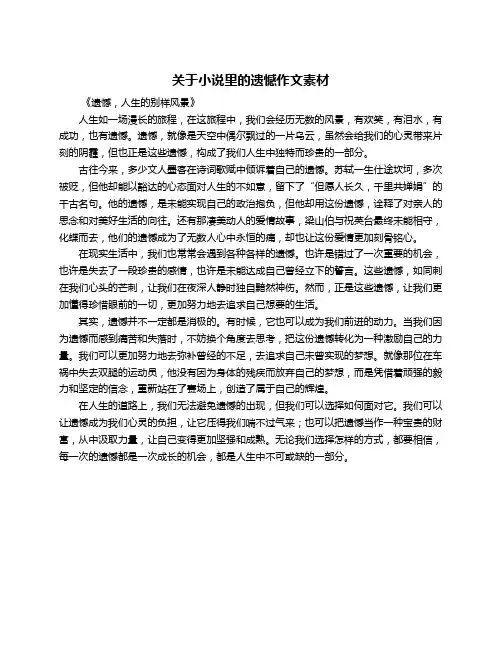 关于小说里的遗憾作文素材