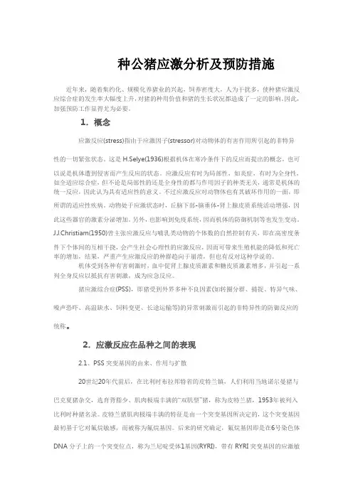 种公猪  种公猪应激分析及预防措施