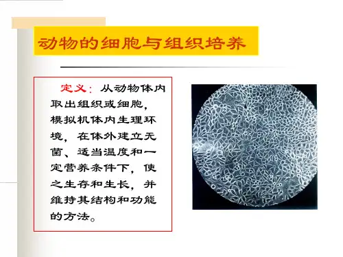 guan3动物细胞培养PPT103页课件