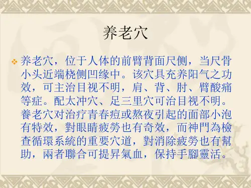 养老穴