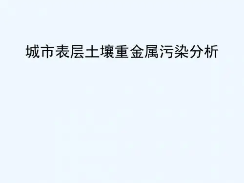 2011A题城市表层土壤重金属污染分析