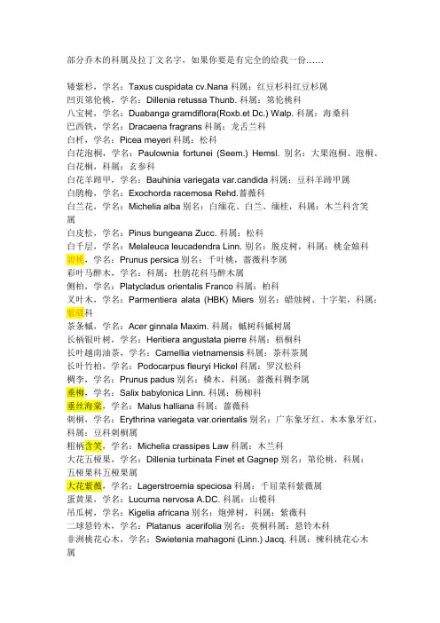 乔木的科属