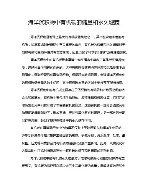 海洋沉积物中有机碳的储量和永久埋藏