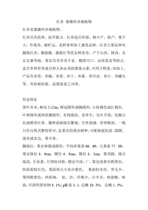 红杏 蔷薇科杏属植物