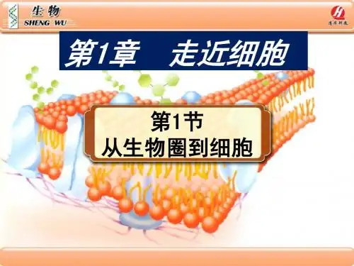 人教版教学课件必修一从生物圈到细胞