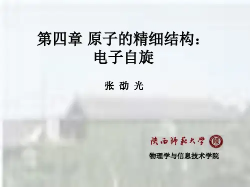 §1819电子自旋new资料