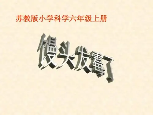 六年级上册科学课件-1.3馒头发霉了｜苏教版(共13张)
