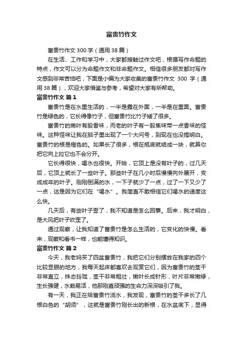 富贵竹作文300字（通用38篇）