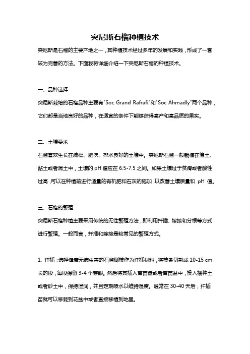 突尼斯石榴种植技术