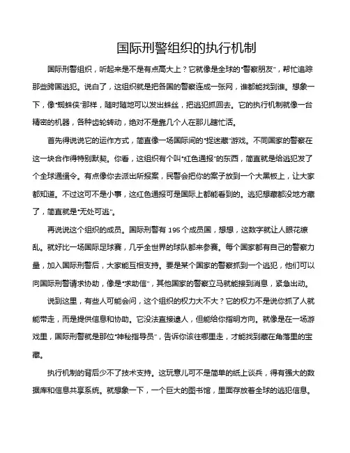 国际刑警组织的执行机制