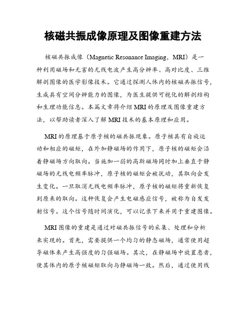 核磁共振成像原理及图像重建方法