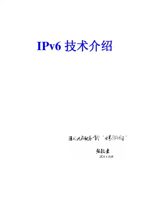 IPV6白皮书