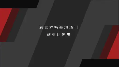 蔬菜种植基地项目商业计划书