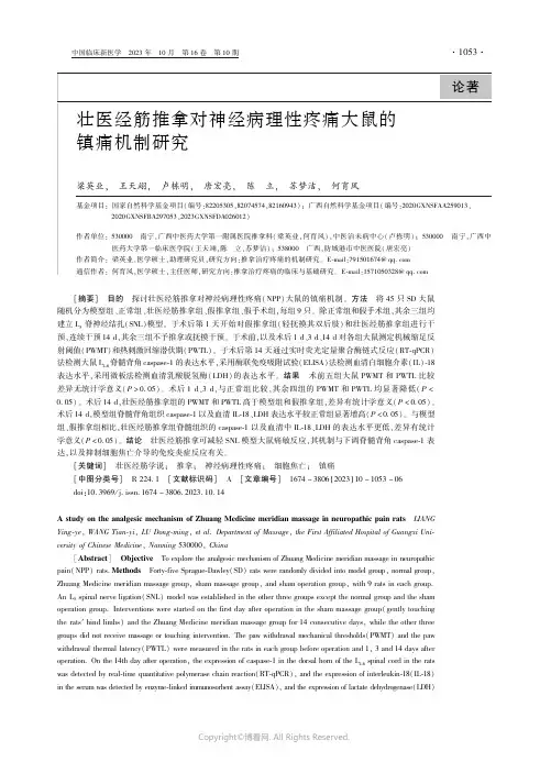 壮医经筋推拿对神经病理性疼痛大鼠的镇痛机制研究