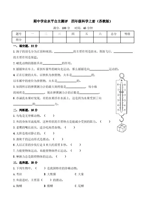期中学业水平自主测评-2024-2025学年四年级科学上册(苏教版)(含答案)