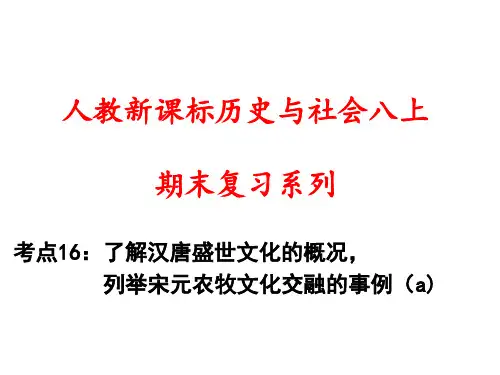 考点16(八上复习课件)：了解汉唐盛世文化的概况,列举宋元农牧文化交融的事例(a)