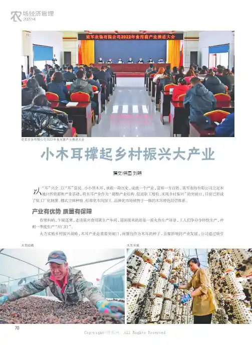 小木耳撑起乡村振兴大产业