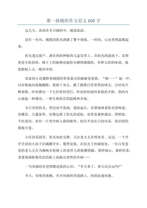 那一抹暖阳作文范文600字