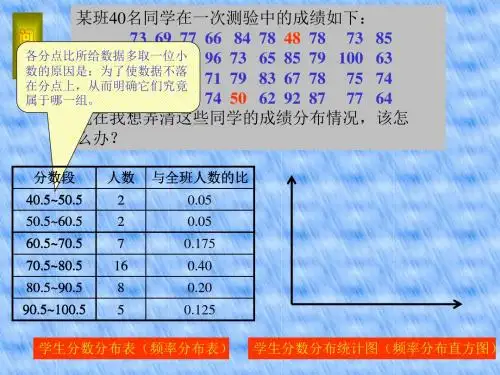 频率分布与直方图PPT课件