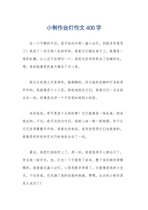 小制作台灯作文400字