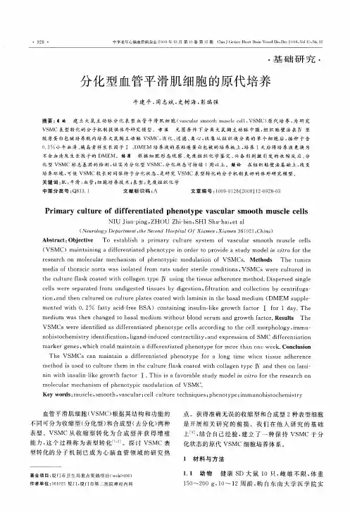 分化型血管平滑肌细胞的原代培养