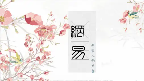 网易全面分析 PPT