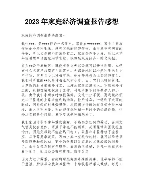 2023年家庭经济调查报告感想
