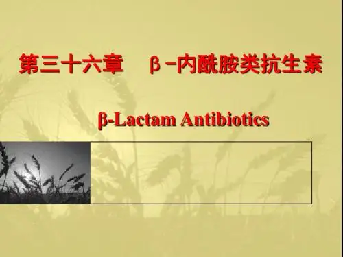 《内酰胺类抗生素》PPT课件