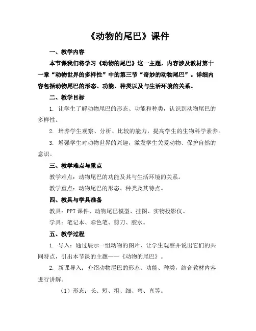 《动物的尾巴》课件